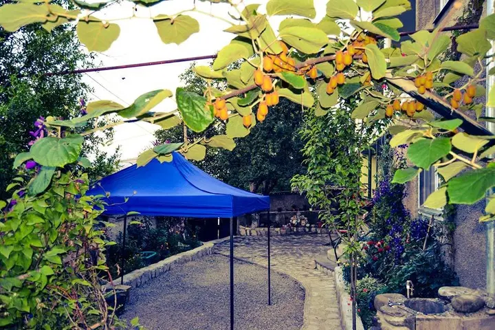 Телави: Гостевой Дом Green House Telavi