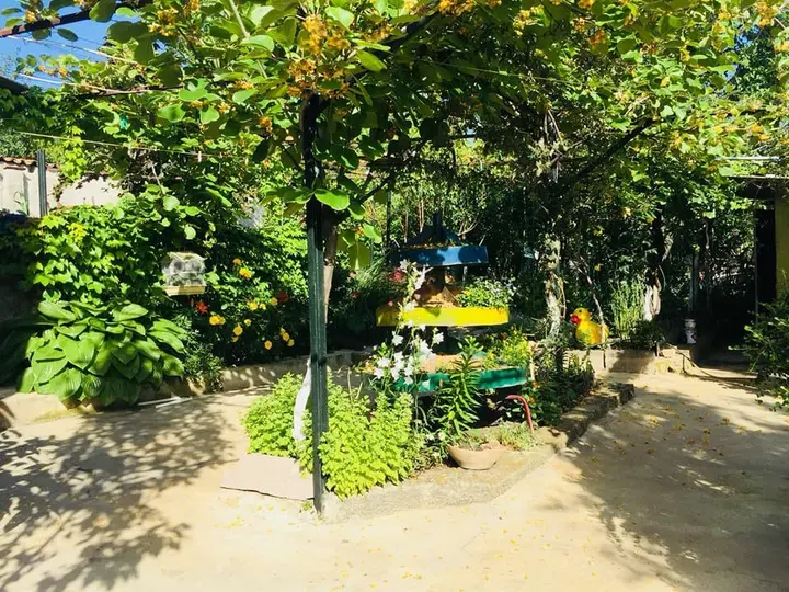 Телави: Гостевой Дом Green House Telavi