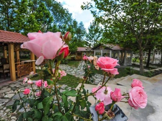 Вандам: Ruma Zeytun Hotel