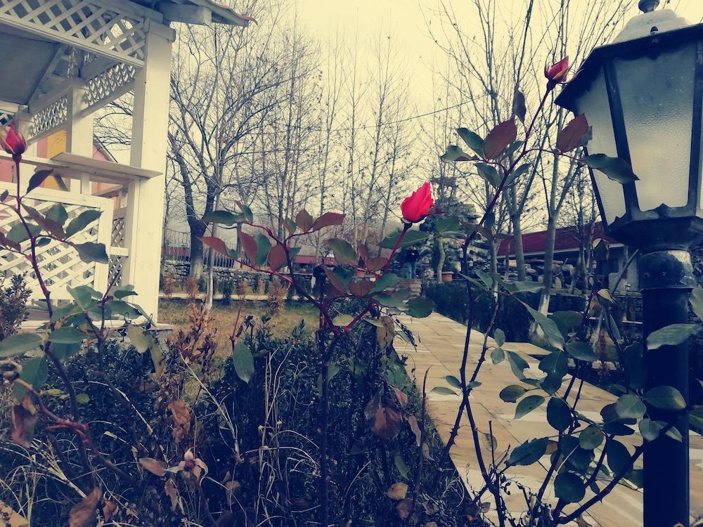 Вандам: Ruma Zeytun Hotel
