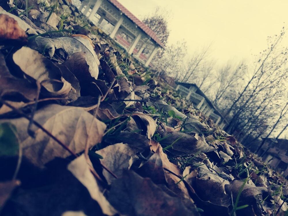 Вандам: Ruma Zeytun Hotel