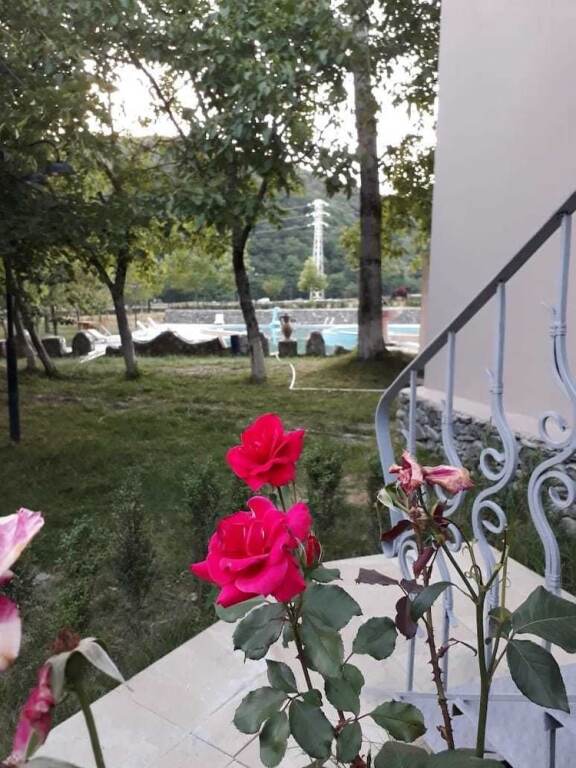 Вандам: Ruma Zeytun Hotel