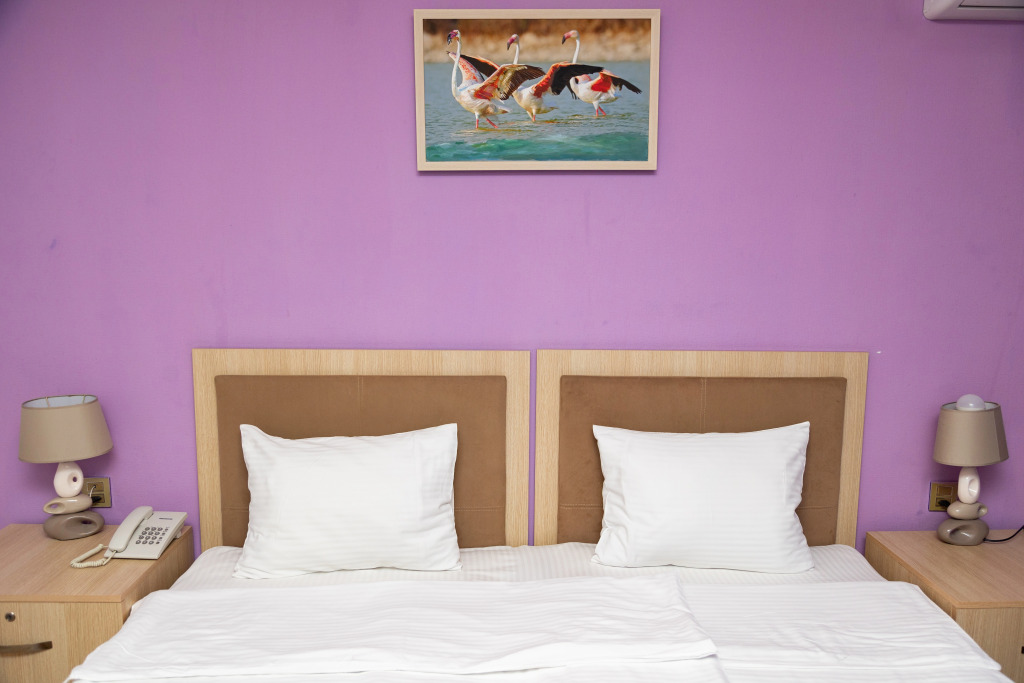 Баку: Отель Flamingo Baku