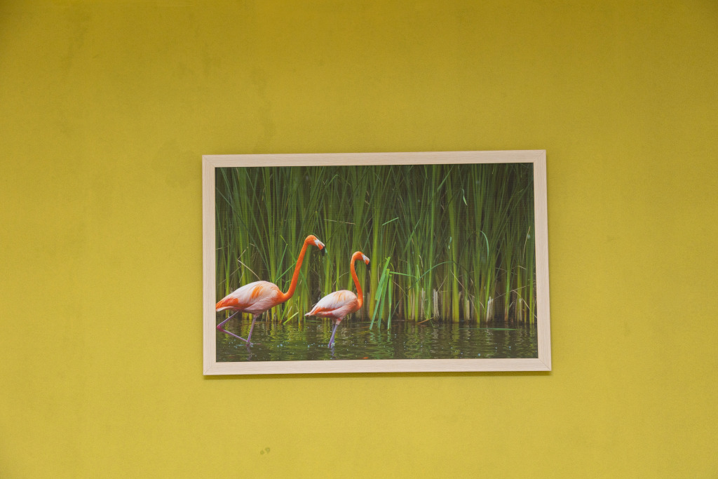 Баку: Отель Flamingo Baku