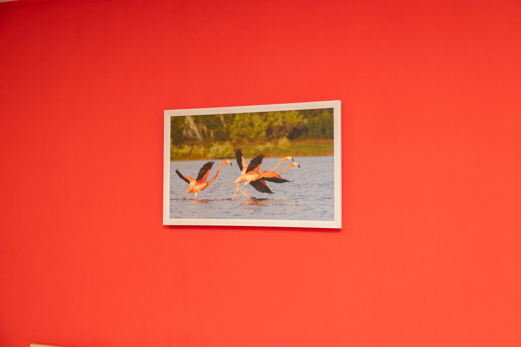 Баку: Отель Flamingo Baku
