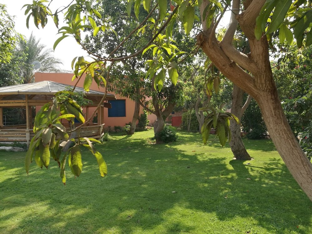 Гиза: Equestrian guest house - Pyramids Egypt