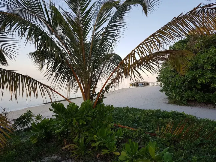 Атолл Баа: White Lagoon Fehendhoo