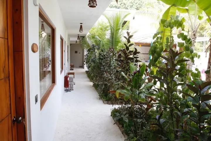 Атолл Баа: White Lagoon Fehendhoo