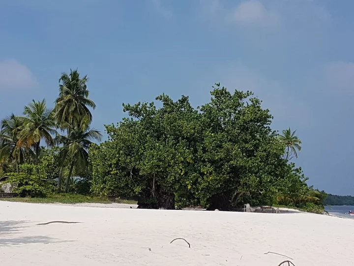 Атолл Баа: White Lagoon Fehendhoo