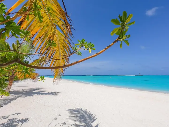 Раа Атолл: The Standard, Huruvalhi Maldives