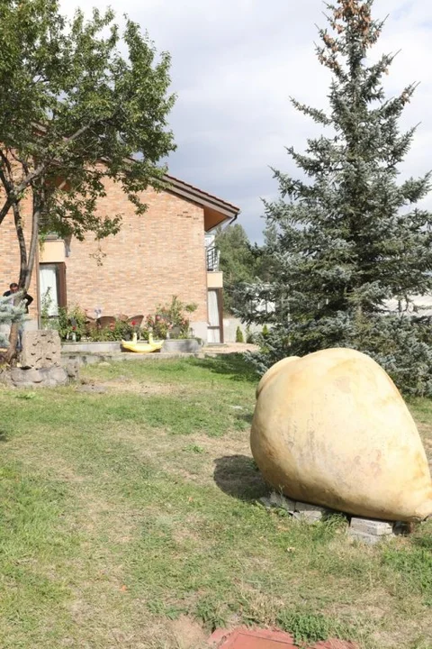 Цахкадзор: Teghenis Rest House