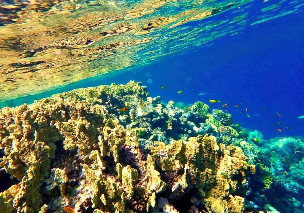 Хургада: Sharm El Naga Resort and Diving Center