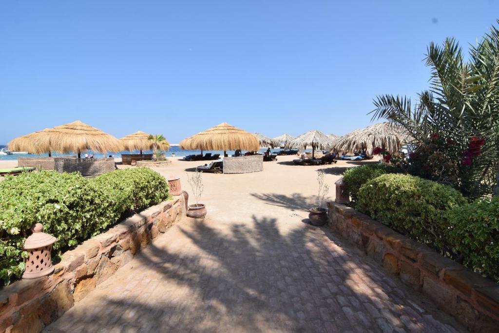 Sharm El Naga Resort and Diving Center — фото 4