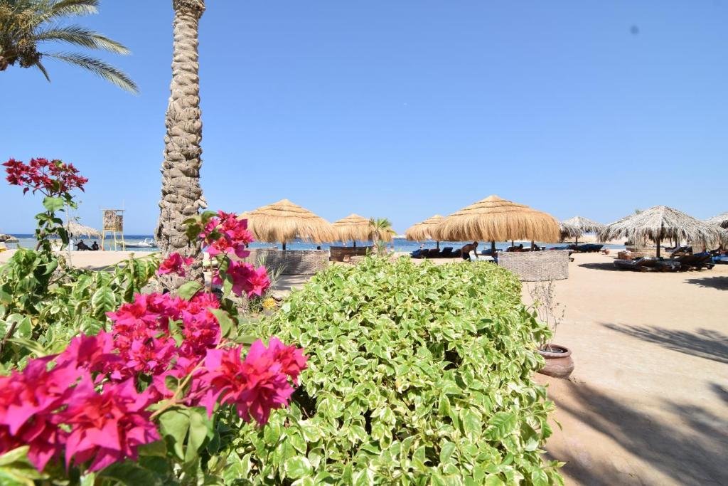 Sharm El Naga Resort and Diving Center — фото 1