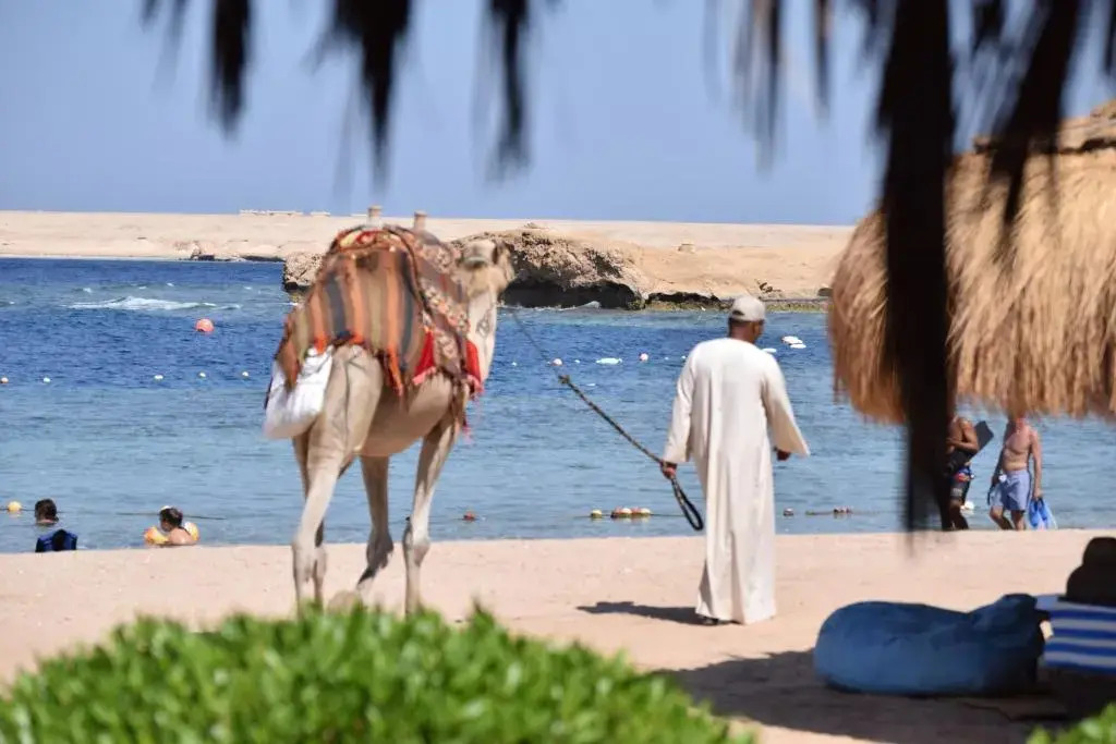 Хургада: Sharm El Naga Resort and Diving Center
