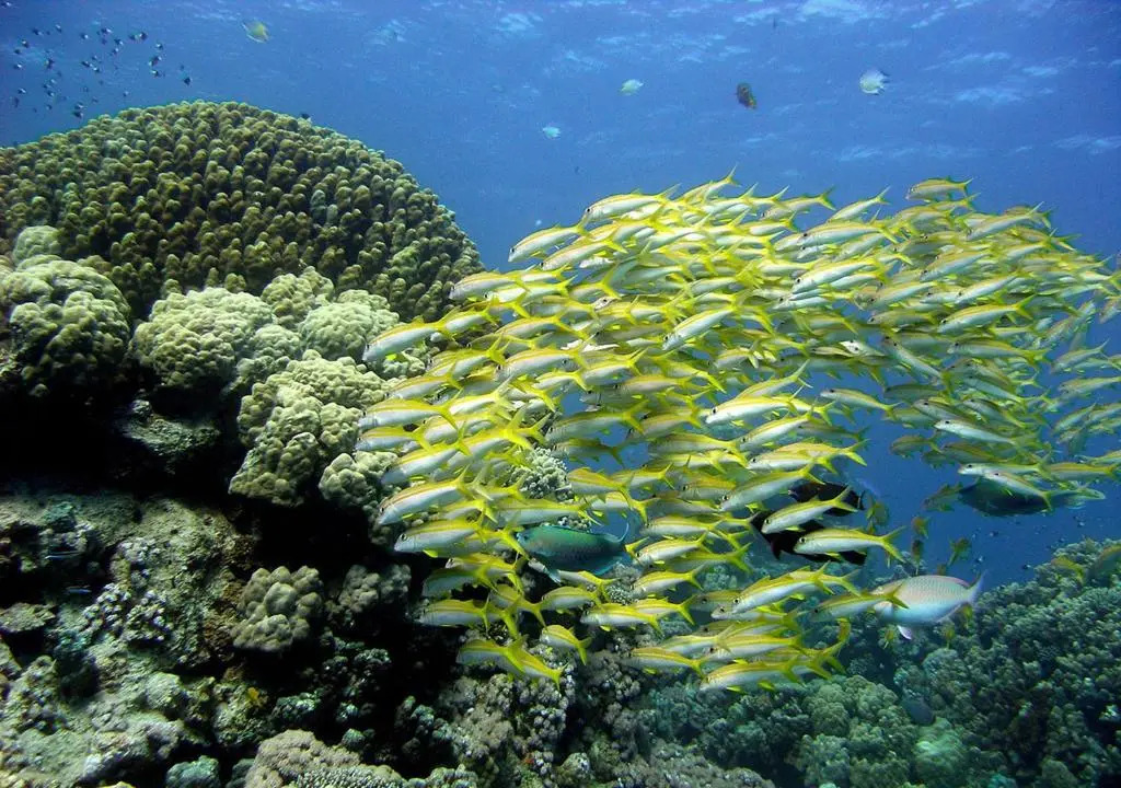 Хургада: Sharm El Naga Resort and Diving Center