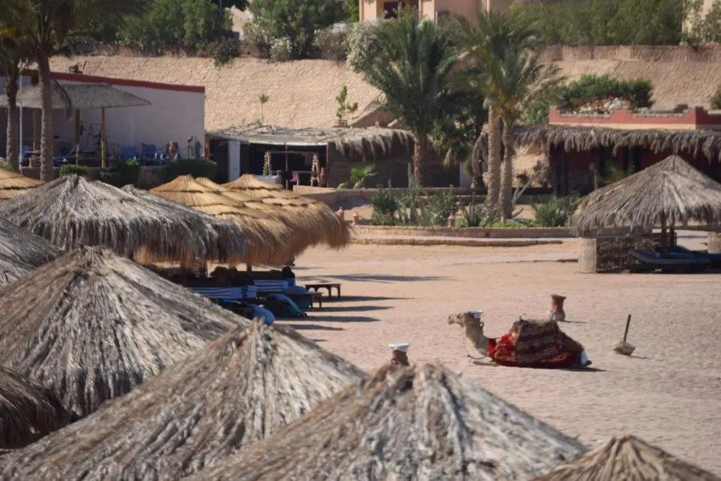 Хургада: Sharm El Naga Resort and Diving Center