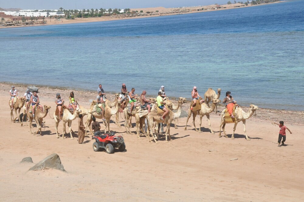 Шарм-эш-Шейх (Шарм-эль-Шейх): Nice Apartment in Sharm