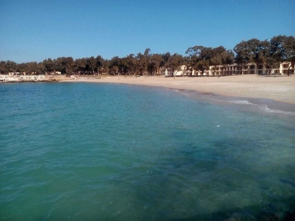 Александрия: Palma Inn Resort