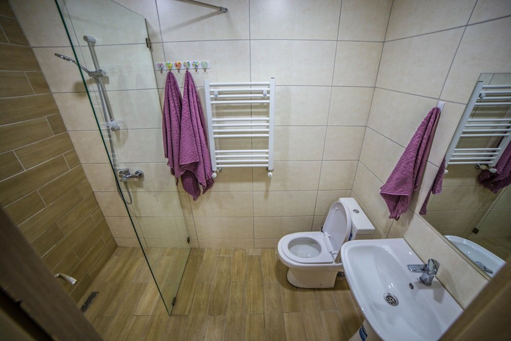 Бакуриани: Отель Bakuriani Plaza B-217