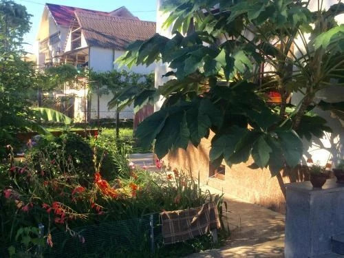Уреки: Guest House Leto