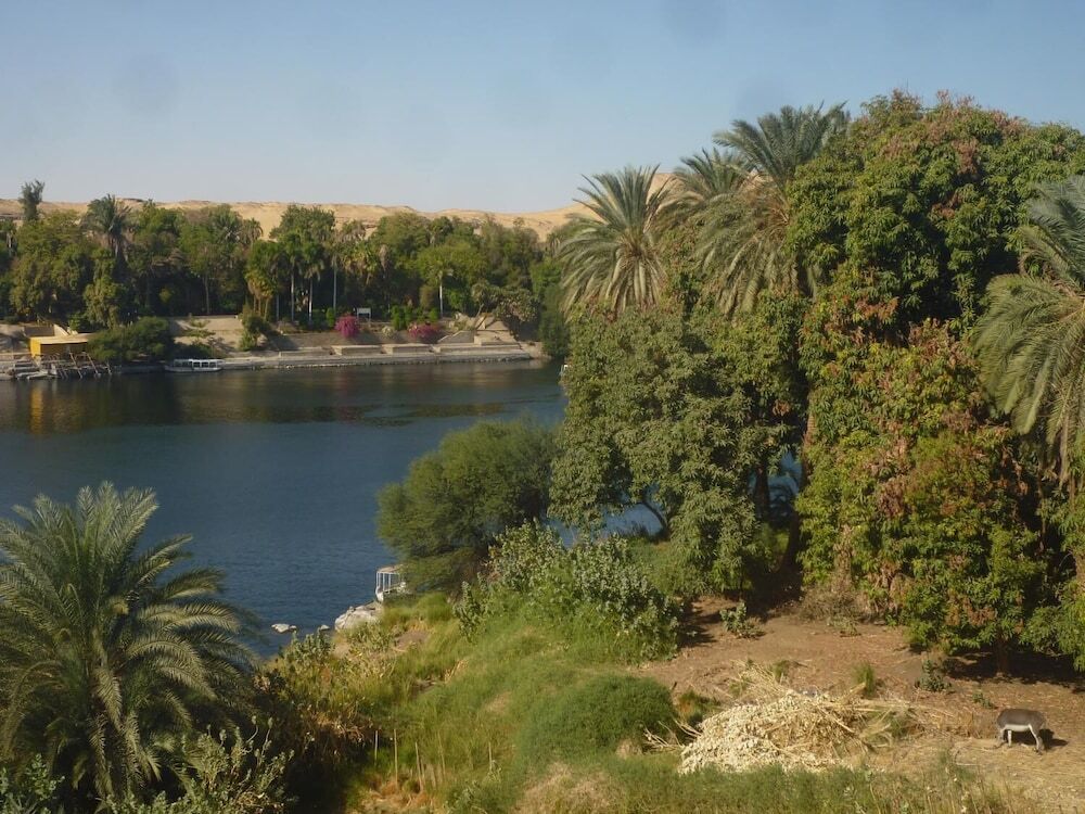 Асуан: El Prince Guest House