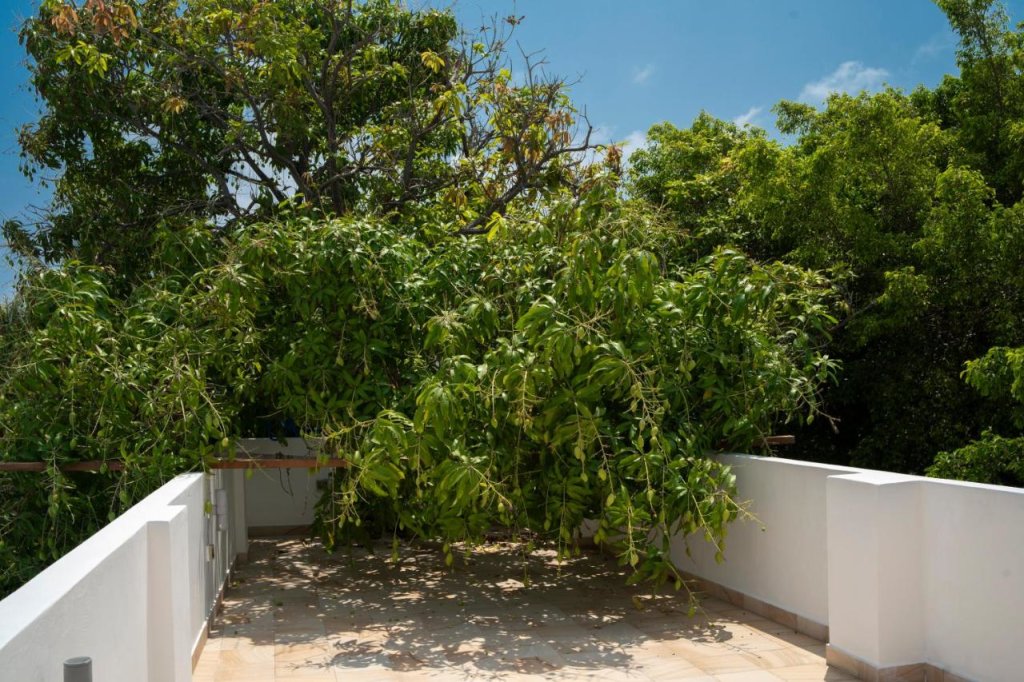 Атолл Баа: Tropical Biosphere Hotel