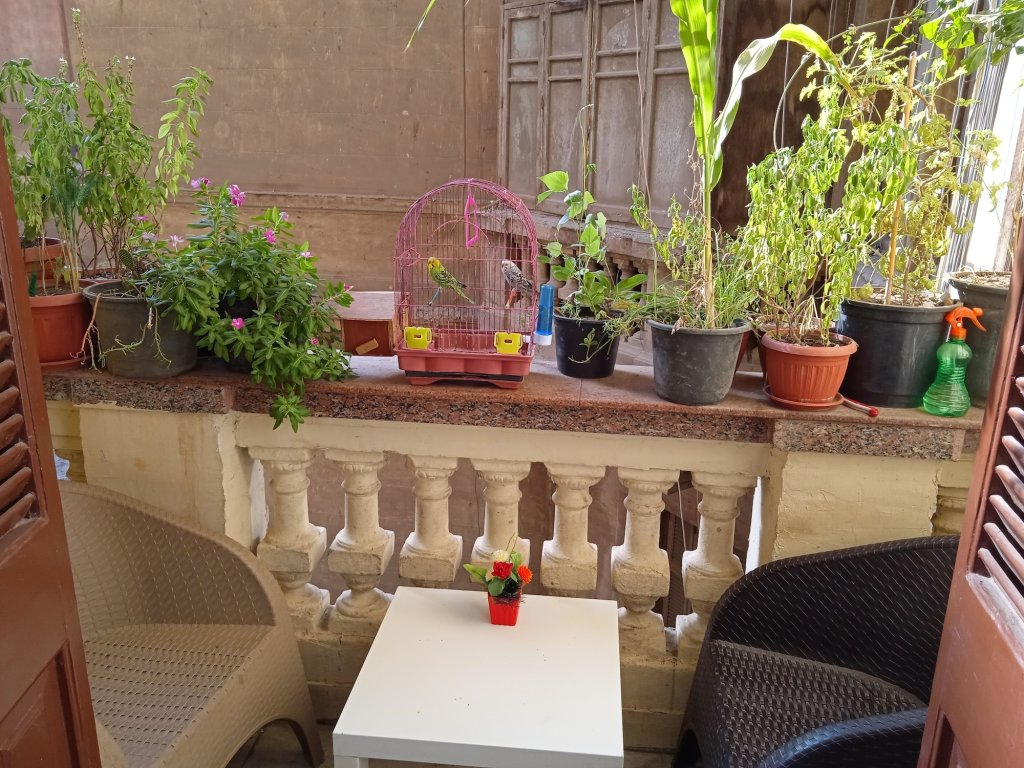 Каир: Hostgram Hotel