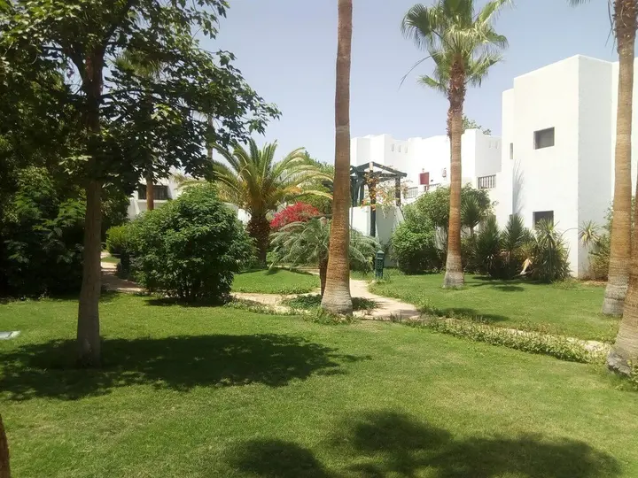 Шарм-эш-Шейх (Шарм-эль-Шейх): Lamimma Apartment