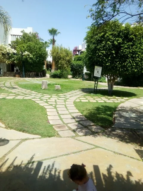 Шарм-эш-Шейх (Шарм-эль-Шейх): Lamimma Apartment
