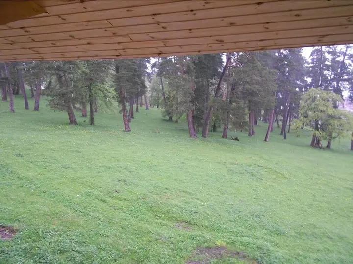 Бакурианский Андезит: kotteje bakuriani