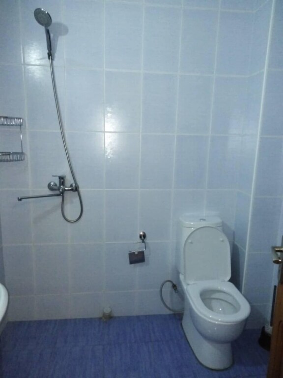 Бакурианский Андезит: Отель Babysito
