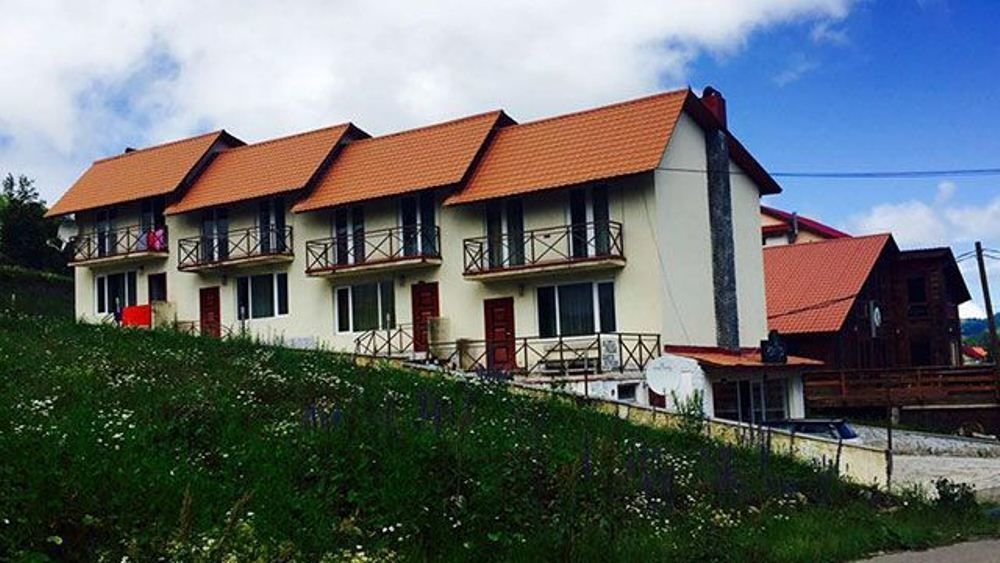 Бакурианский Андезит: Cottage 4 house in Bakuriani