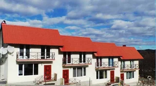 Бакурианский Андезит: Cottage 4 house in Bakuriani