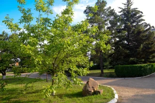 Ейск: Южный берег Ейск