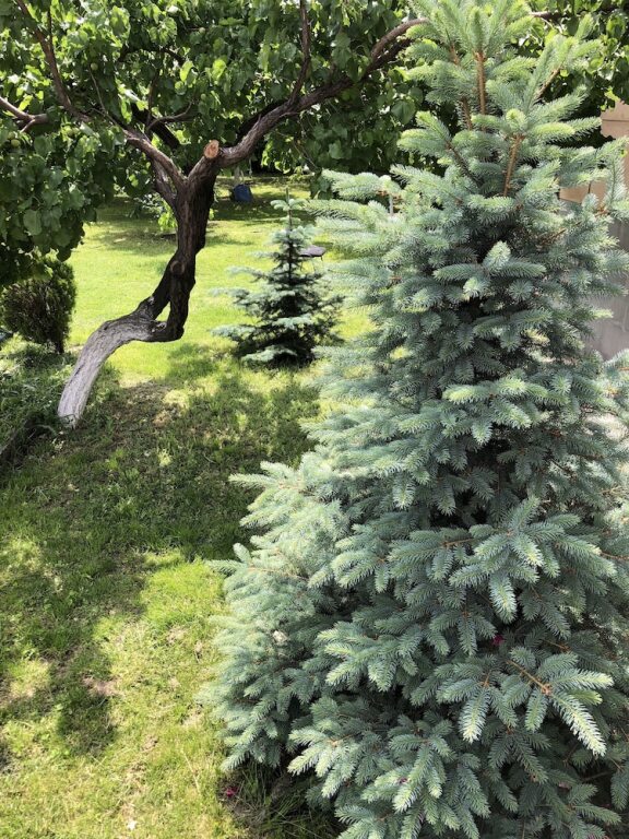 Ереван: Коттедж на Норк
