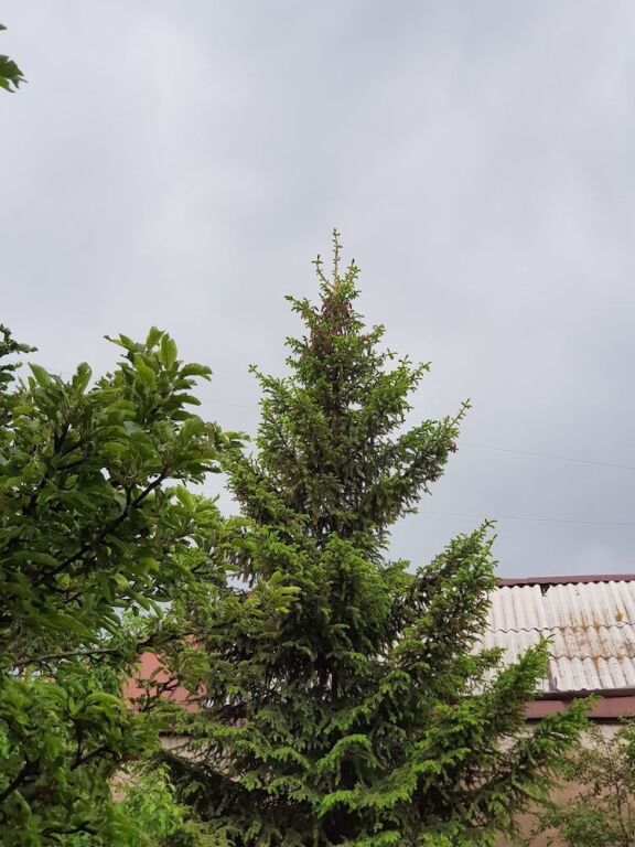 Севан: Mountain Lake Villa B&B