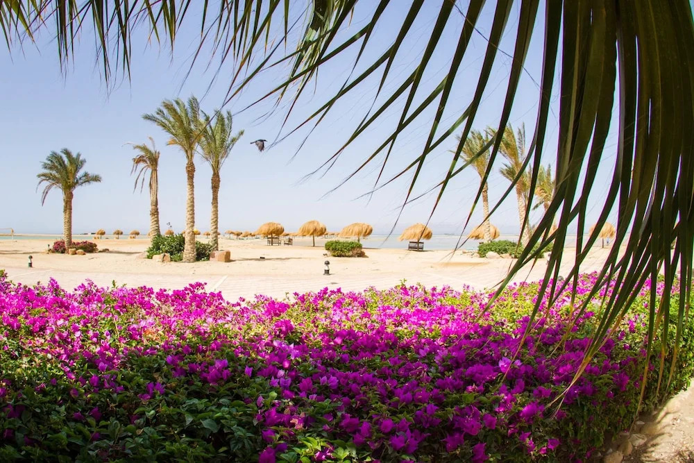 Рас-Сидр: Green Lagoon Beach Resort Ras Sidr
