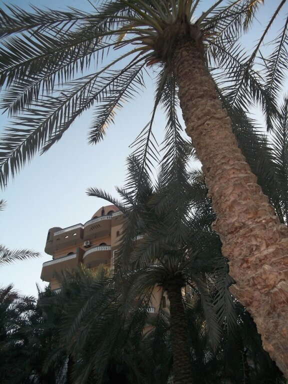 Аль-Бавити: Bedouin Castle