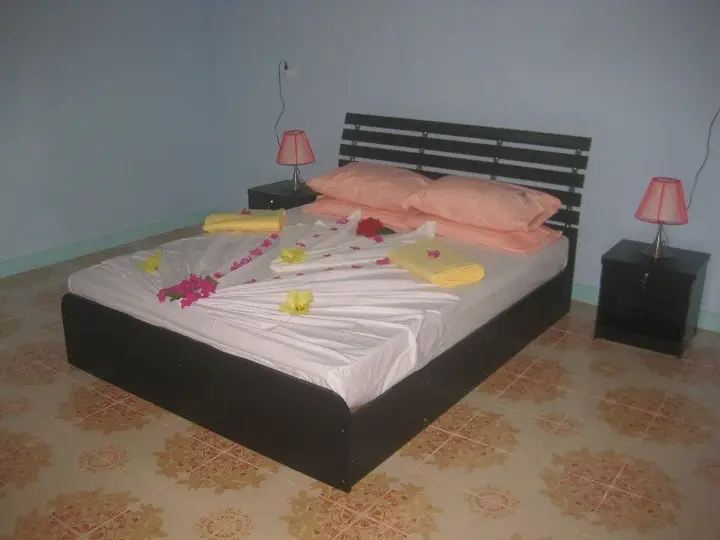 Palm Villa Tourist Guest House — фото 2