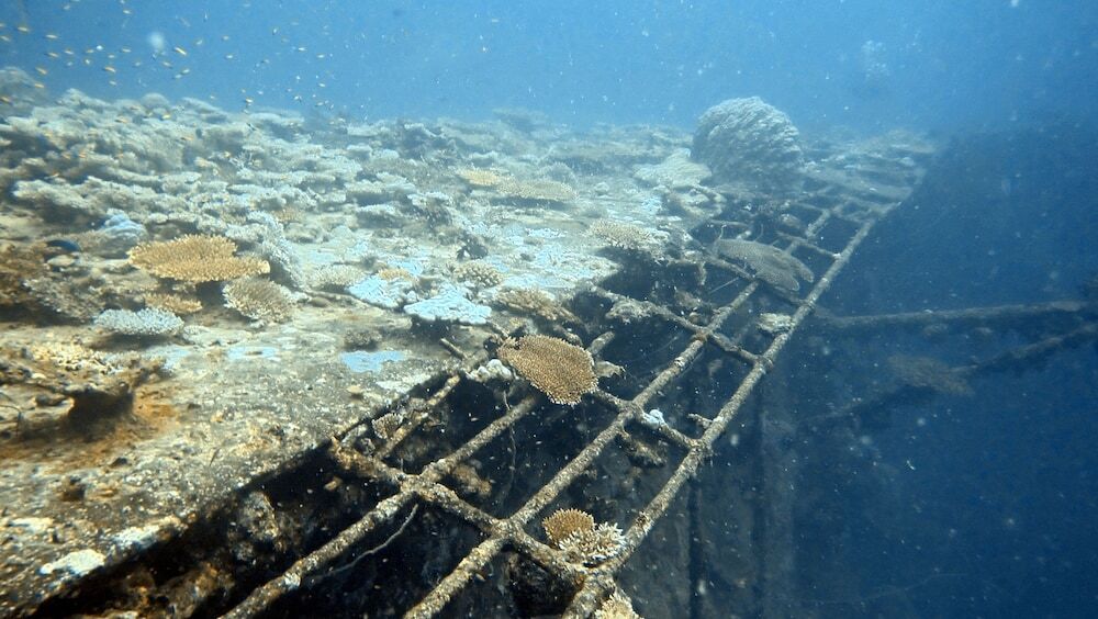 Атолл Адду: Sea Star Diving