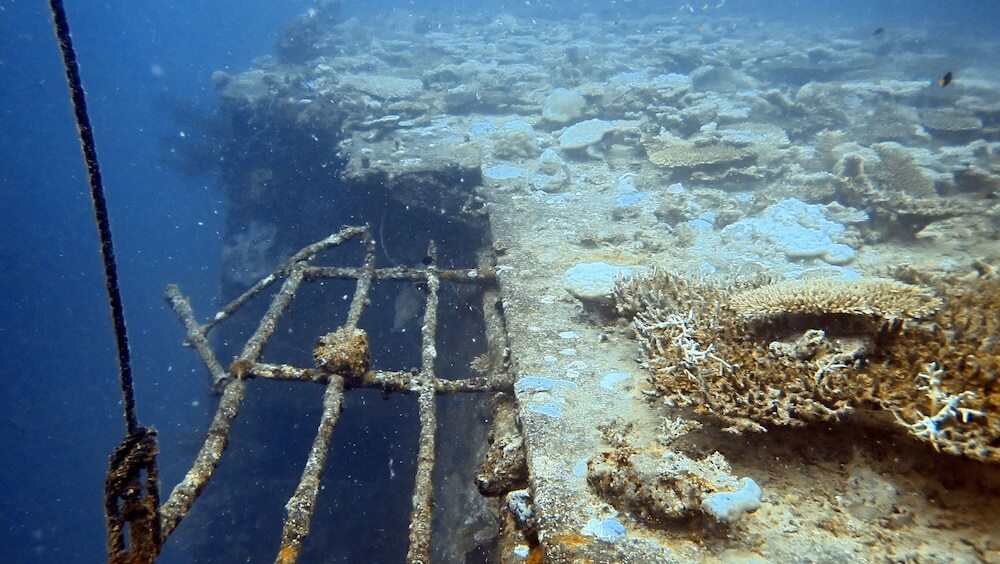 Атолл Адду: Sea Star Diving