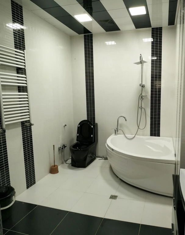 Баку: Bakuvi Tourist Apartment B096
