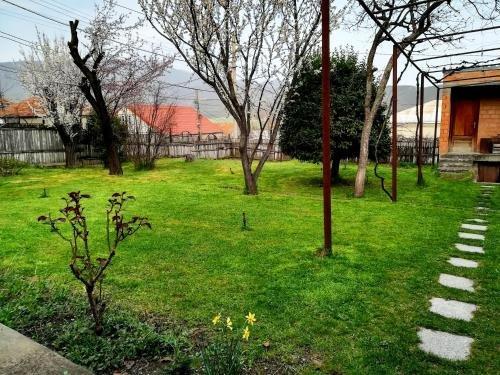 Мцхета: Guest house Green Veranda