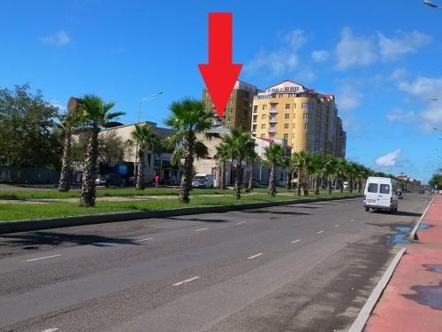 Кутаиси: Hotel Palm