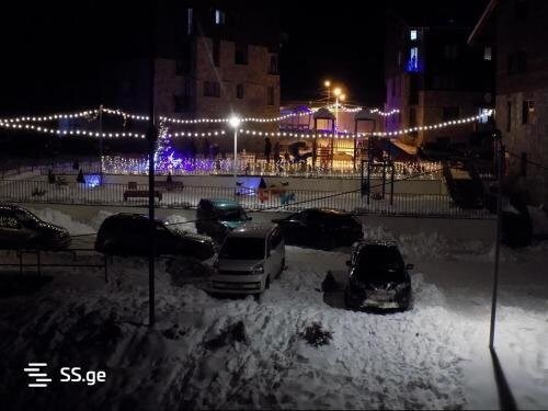 Бакуриани: Bakuriani Willa Monte 2/12