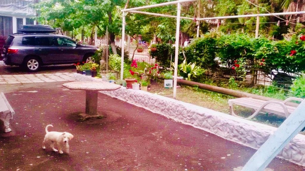 Anna Hostel — фото 2