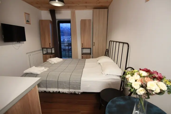 Бакуриани: Hotel Mgzavrebi 11 Th.