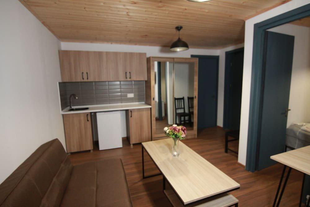 Бакуриани: Hotel Mgzavrebi 11 Th.