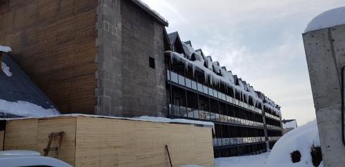 Бакуриани: Hotel Mgzavrebi 11 Th.